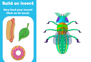 Build an Insect Build an Insect